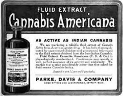 Le Cannabis Americana a été proposé comme remède contre les coliques chez les chevaux.