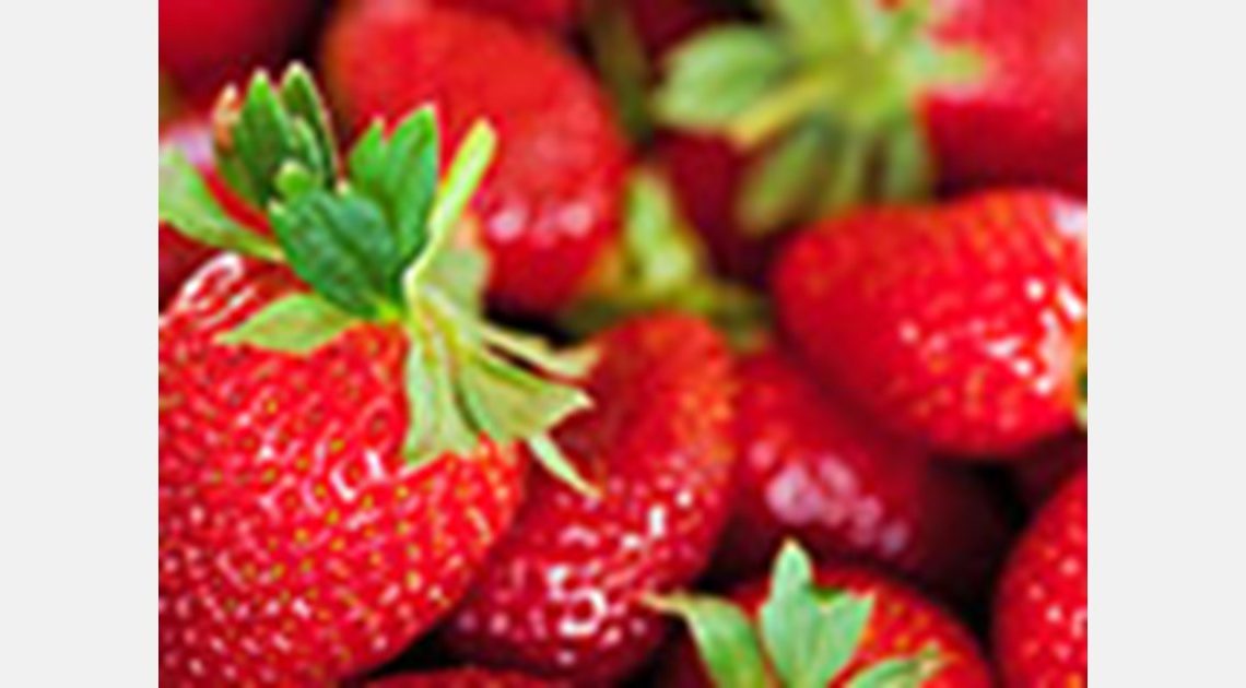 L’huile de CBD pourrait prolonger la durée de conservation des fraises