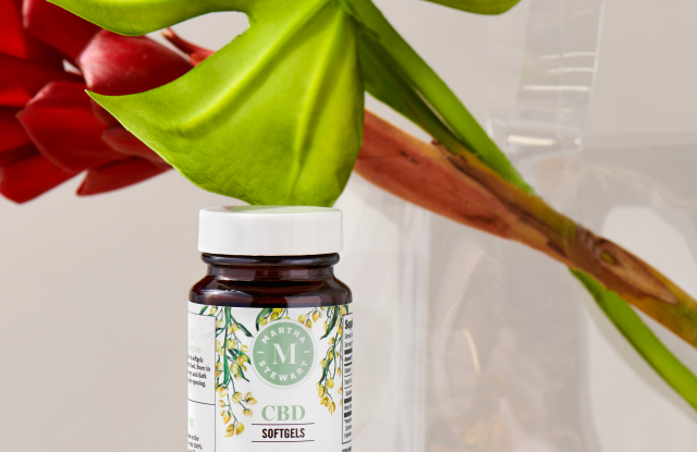 The Vitamin Shoppe lance Martha Stewart CBD Wellness – WWD