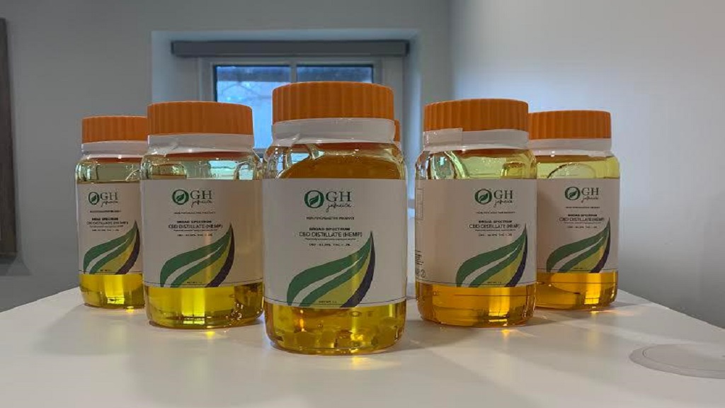 Une entreprise basée à Trelawny commence l’exportation d’huile de CBD