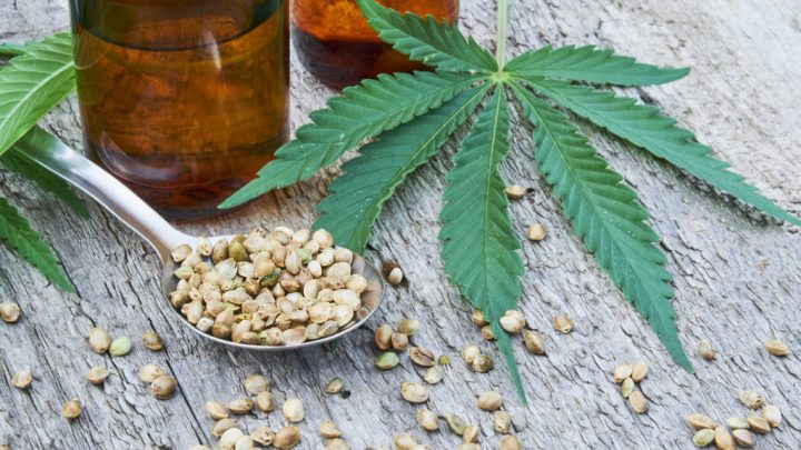 Ce que vous devez savoir sur les graines de cannabis