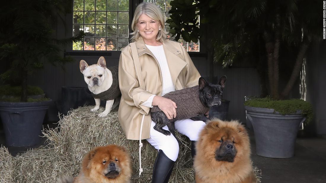Martha Stewart lance une gamme de friandises pour chiens infusées au CBD