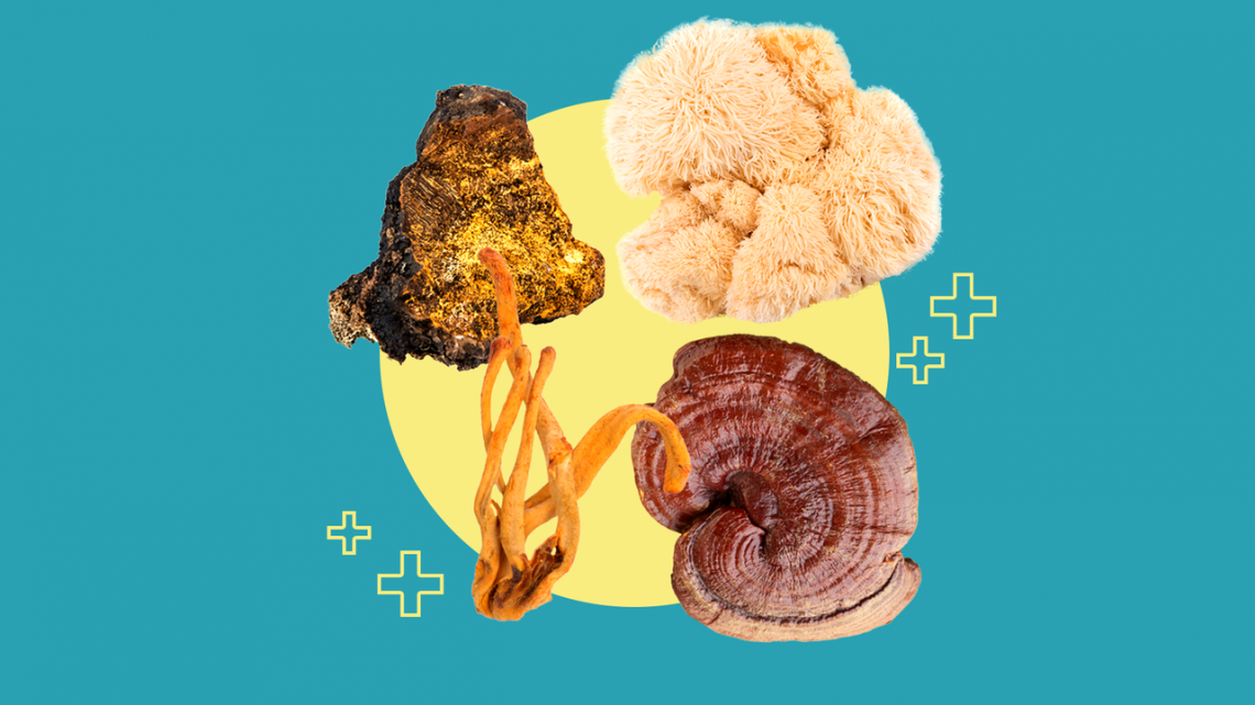 Oubliez le CBD, les champignons médicinaux sont apparemment les tendances 2021 que nous devons connaître