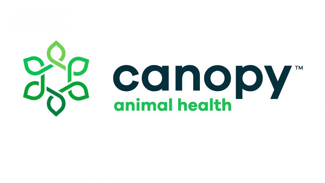Canopy Animal Health lance une nouvelle génération de produits CBD pour chiens