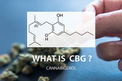 Qu’est-ce que le CBG?  Un cannabinoïde mineur dans l’huile de CBD avec des avantages majeurs: Augusta Free Press