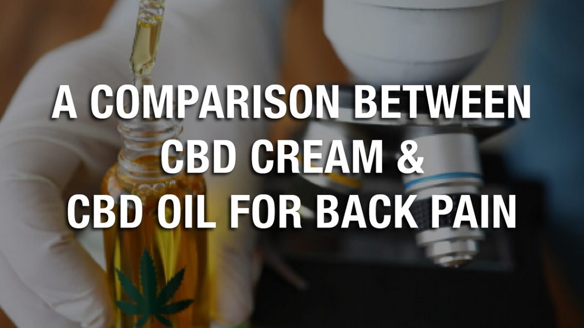 Une comparaison entre la crème CBD et l’huile de CBD pour les maux de dos