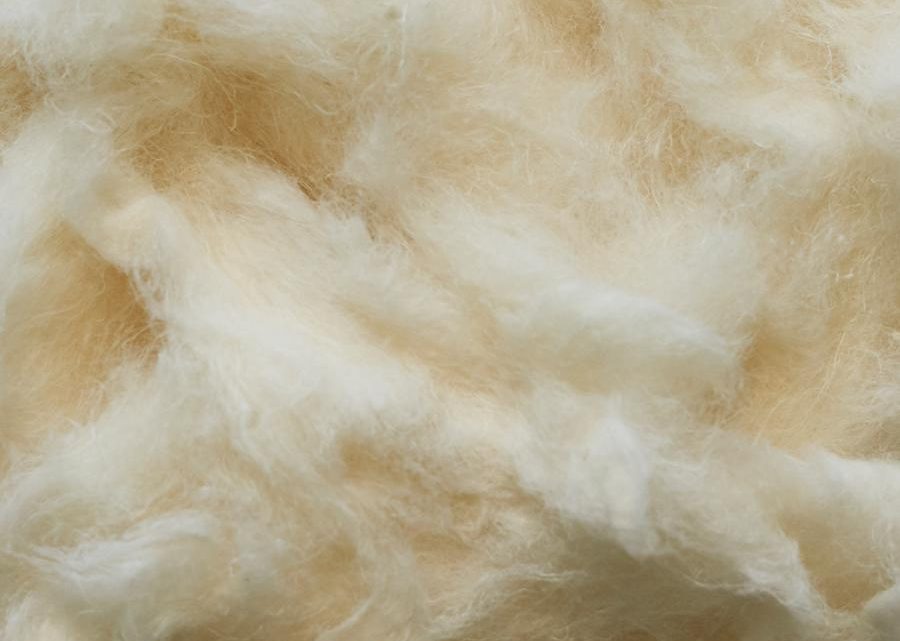 Circular Systems lance la première fibre de qualité textile à base de restes de chanvre CBD