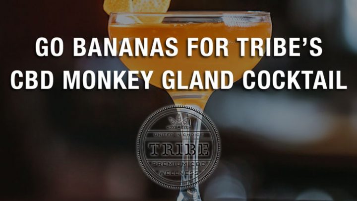 Go Bananas pour le cocktail CBD Monkey Gland de Tribe