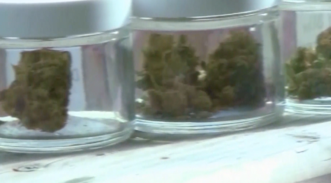Le dispensaire de marijuana pourrait être à la portée du propriétaire d’un magasin CBD local