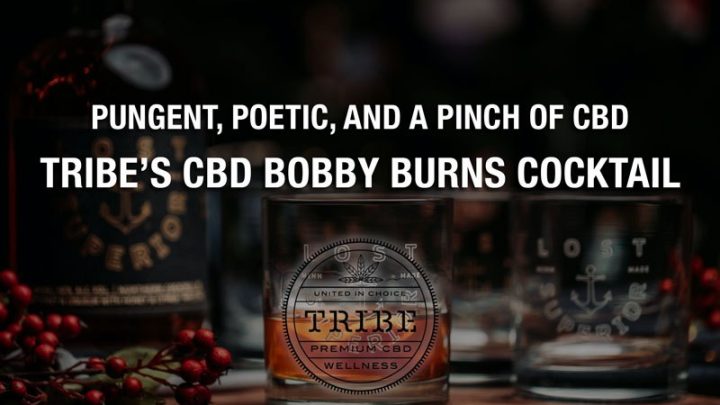 Piquant, poétique et une pincée de CBD – Tribe’s CBD Bobby Burns