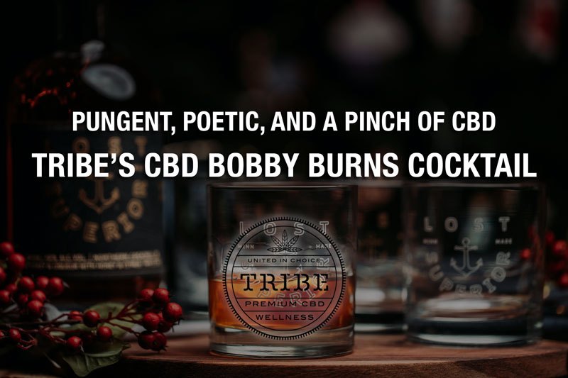 Piquant, poétique et une pincée de CBD – Tribe’s CBD Bobby Burns