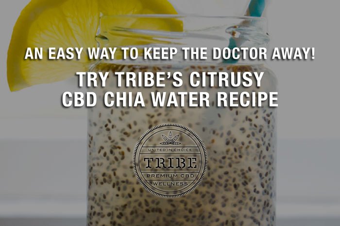 Un moyen facile d’éloigner le médecin!  – Essayez la recette d’eau de chia au CBD citronné de Tribe