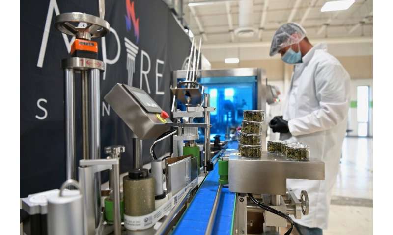 Un employé d'Empire Standard assemble des bouteilles contenant de l'huile de CBD dans leur usine de Binghamton, New York, le 13 avril 2021