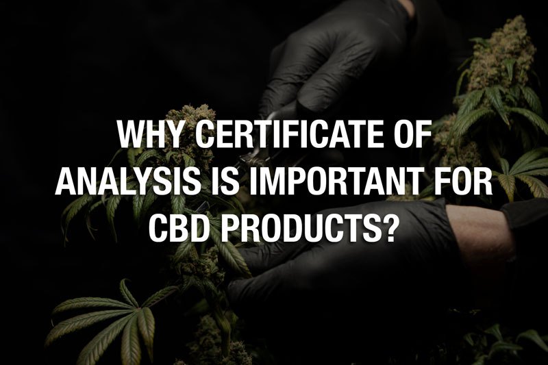 Pourquoi le certificat d’analyse est-il important pour les produits CBD?