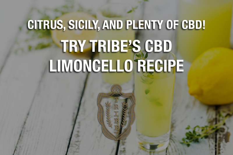 Agrumes, Sicile et beaucoup de CBD !  – Essayez la recette de CBD Limoncello de Tribe
