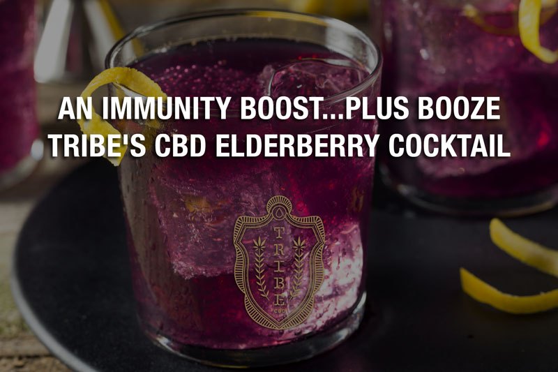 An Immunity Boost…Plus Booze – Tribe’s CBD Sureau Cocktail