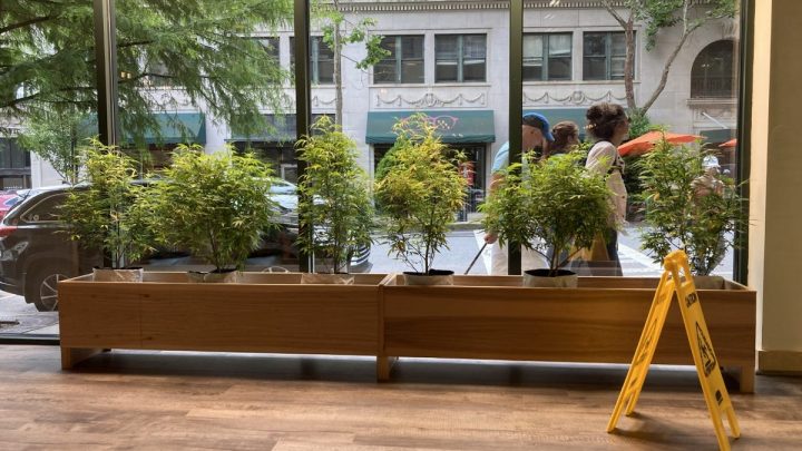 La légalisation ferait passer les dispensaires d’Asheville CBD à la marijuana