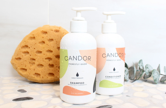 Rencontrez Candor Hair, la marque de soins capillaires CBD propres – WWD