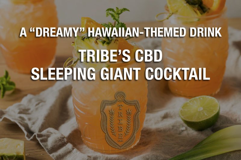 Une boisson « de rêve » sur le thème hawaïen – Tribe’s CBD Sleeping Giant Cocktail