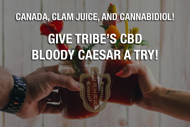Canada, jus de palourde et cannabidiol !  — Essayez le CBD Bloody Caesar de Tribe !