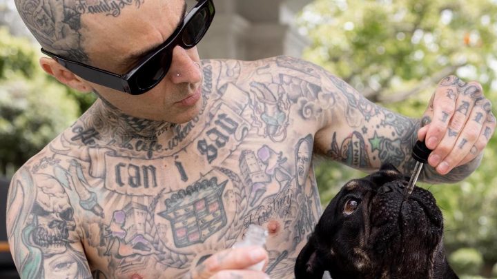 Vegan Blink-182 Star Travis Barker lance des produits CBD pour animaux de compagnie