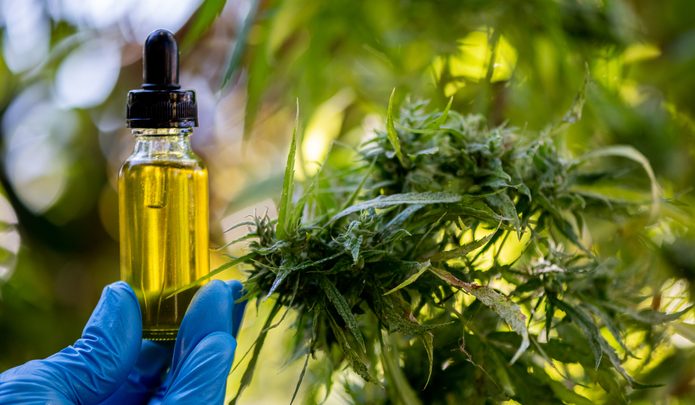 Cosmétiques CBD/cannabis, une entreprise de suppléments obtient une licence colombienne importante