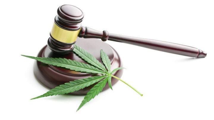 L’AHPA commente la nouvelle législation sur le cannabis qui réglementerait également le CBD