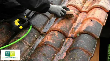 Comment pulvériser de l’anti mousse sur une toiture ?