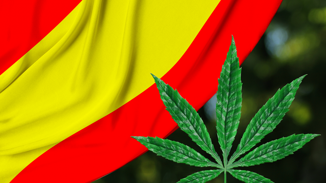 Le gouvernement espagnol donne son feu vert au cannabis médical