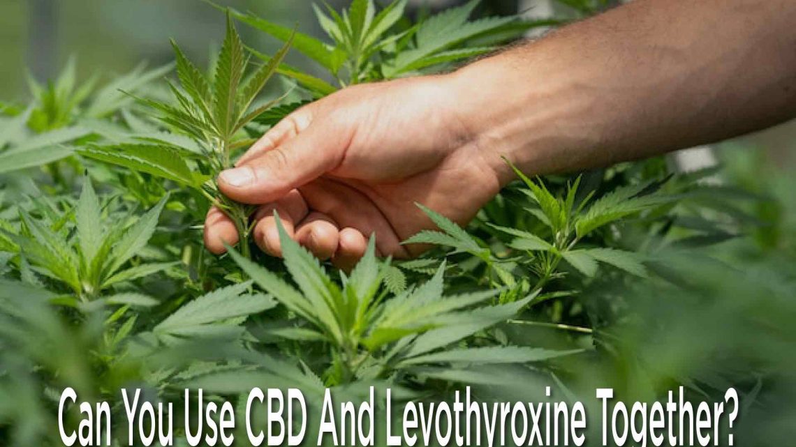 Pouvez-vous utiliser le CBD et la lévothyroxine ensemble ?