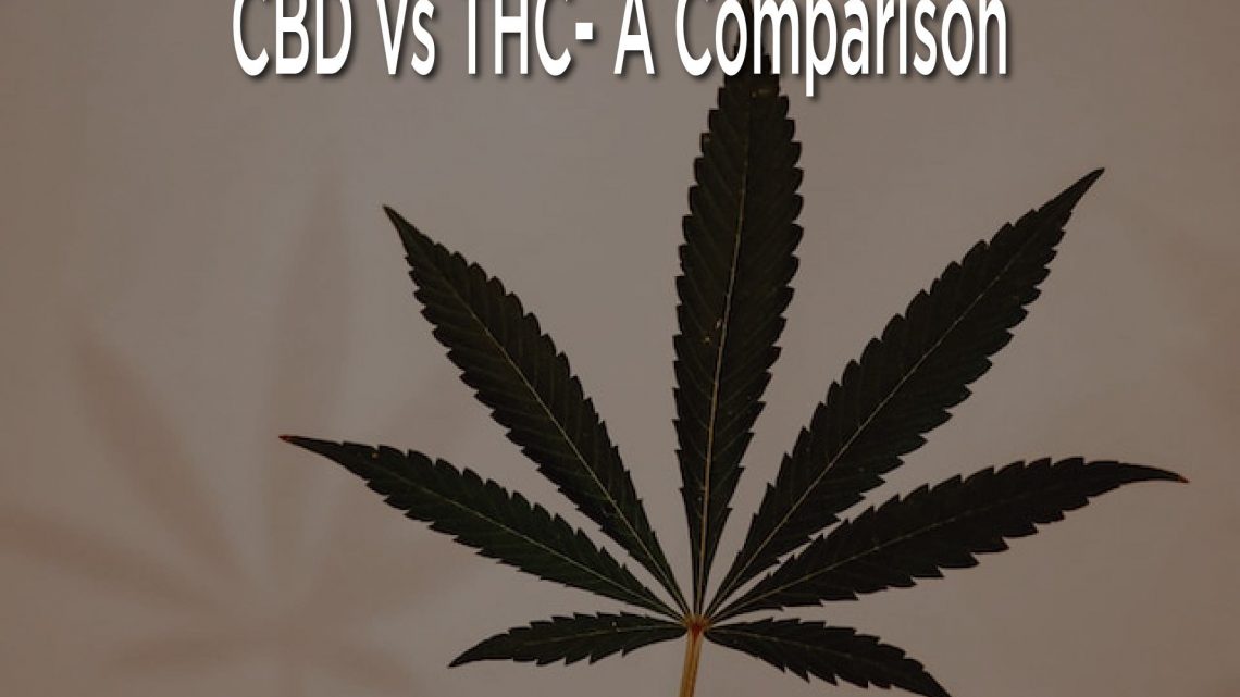 CBD Vs THC – Une comparaison