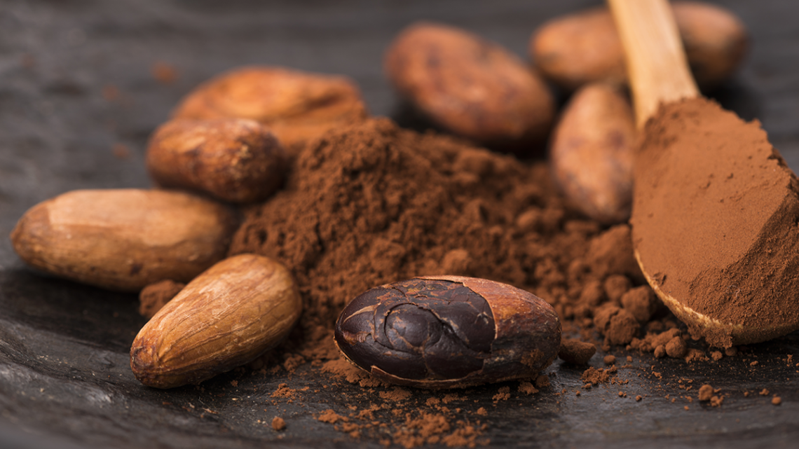 Le cacao, une plante médicinale traditionnelle des temps modernes