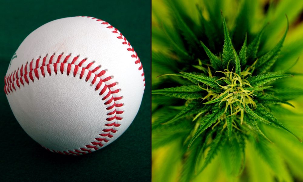 Une société de cannabis et une ligue majeure de baseball signent un accord pour que le Web de Charlotte devienne le « CBD officiel de la MLB »