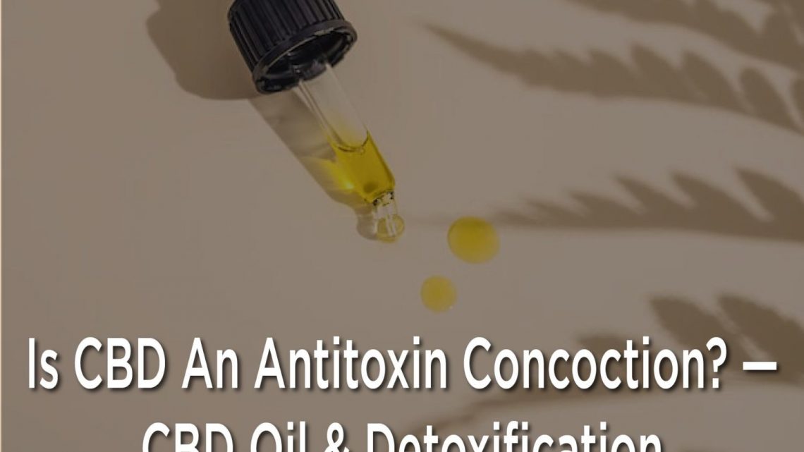 Le CBD est-il une concoction d’antitoxines ?  — Huile de CBD et détoxification