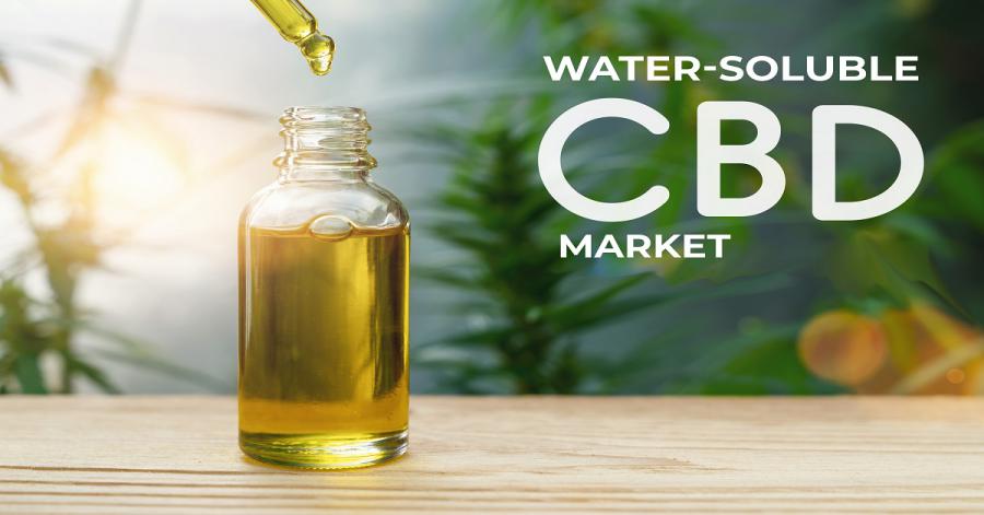 Le marché mondial du CBD hydrosoluble croît à un TCAC de 28,10 % – OROCAN AG, Hemptotally, Simply Soluble CBD, HMI Group, Le Herb