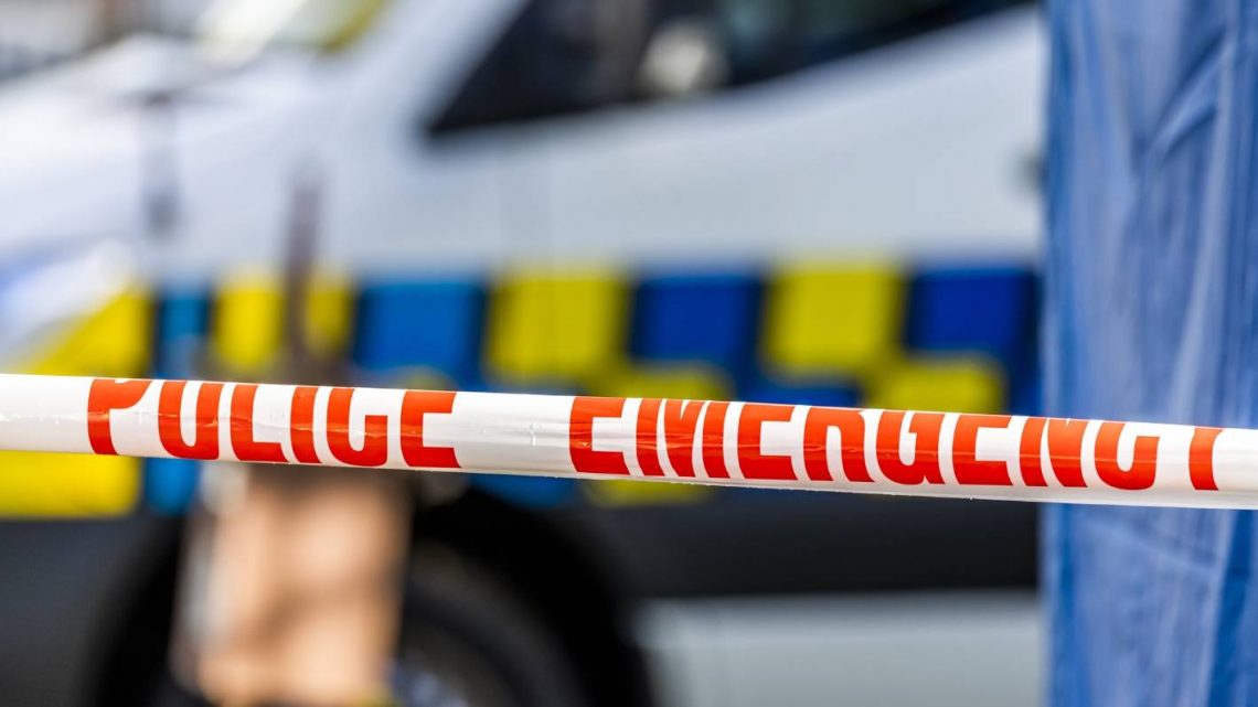 Un homme « s’est effondré et est mort » en parlant à la police après un incident dans la rue Auckland