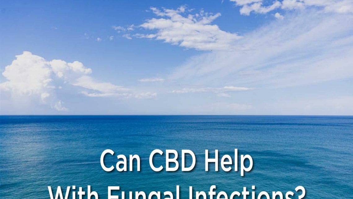 Le CBD peut-il aider avec les infections fongiques ?