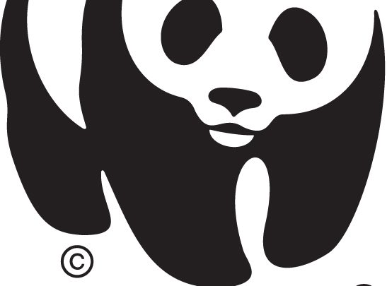 Le WWF-Canada appelle à un accord de type « Paris » pour la nature lors de la COP15 de la CDB