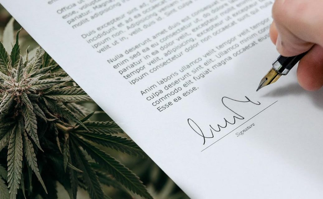 Réseau social pour les amateurs de cannabis WeedLife va acquérir la société CBD Saving Grace Oil – Social Life Network (OTC: WDLF)