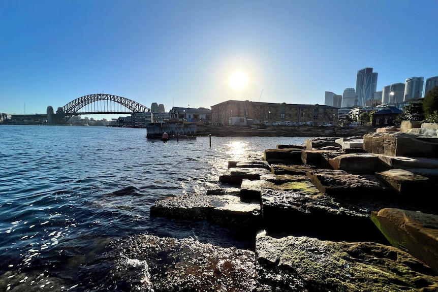 Eau et rochers avec Sydney Harbour Bridge en arrière-plan
