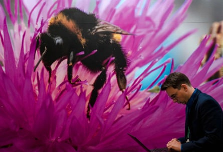 l'homme est assis devant une grande photo d'une abeille