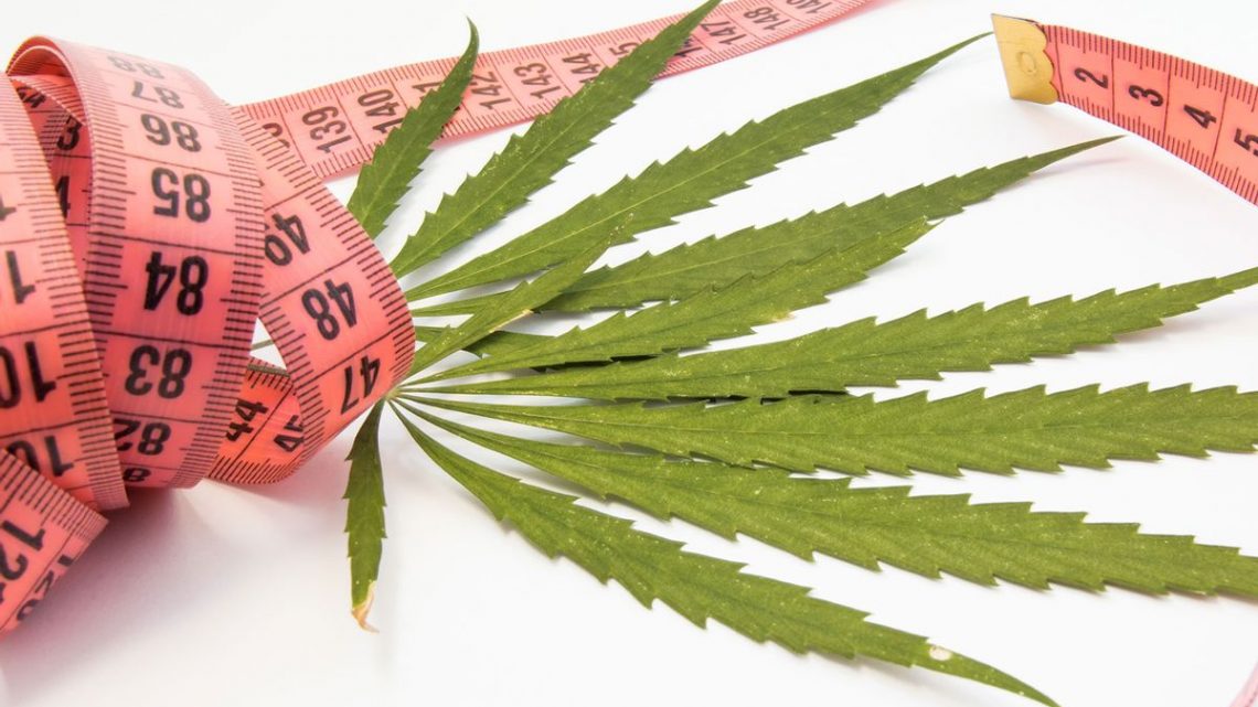 Pourquoi le cannabis maintient-il certaines personnes maigres ?  Des experts expliquent comment l’herbe et le métabolisme sont liés