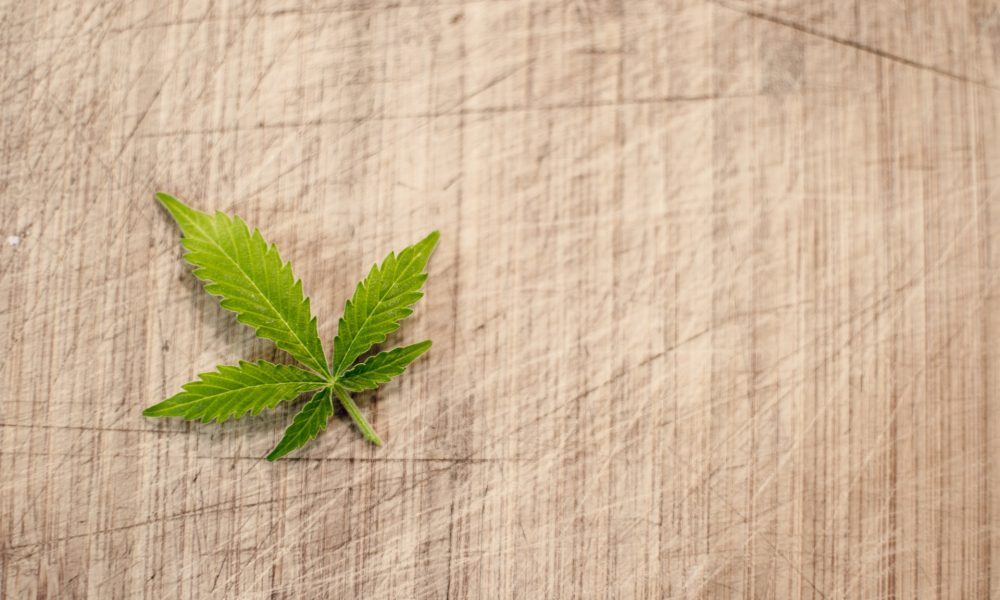 Proposition de nouvelles lignes directrices sur le cannabis à l’intention des juges fédéraux (bulletin : 13 janvier 2023)